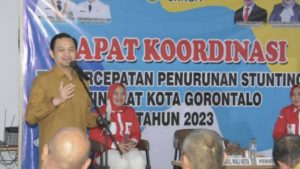 Buka Rakor, Ryan: Penekanan terhadap Stunting Sangat Penting