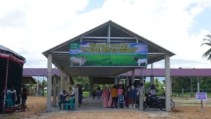 Meski Diresmikan Hari Ini, Pasar Hewan Limboto Baru Beroperasi Pekan Depan