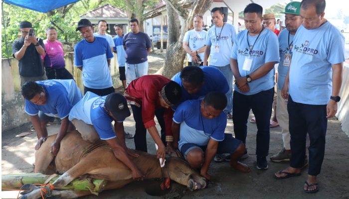 Rayakan Idul Adha 1446 H, Sekretariat Deprov Gorontalo Sembelih 12 Ekor Sapi