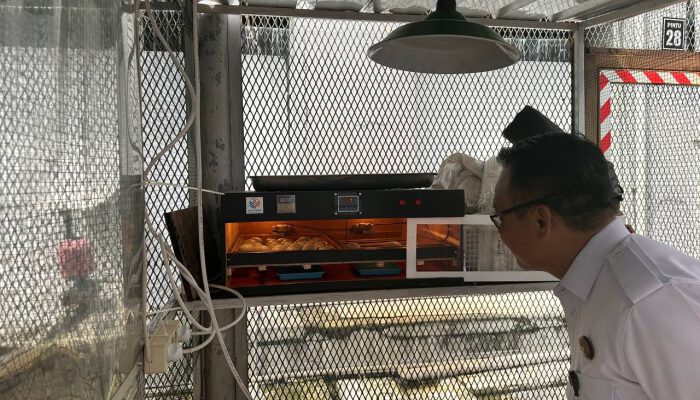 Lapas Kelas IIA Salemba Kembangkan Budidaya Ayam Kampung dengan Mesin Penetas