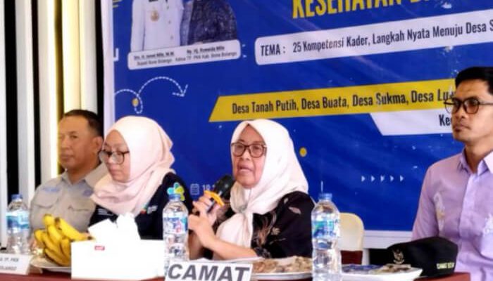 Ruwaida Mile Jadi Pemateri Peningkatan Kapasitas Kader Kesehatan hingga Ketua TP PKK