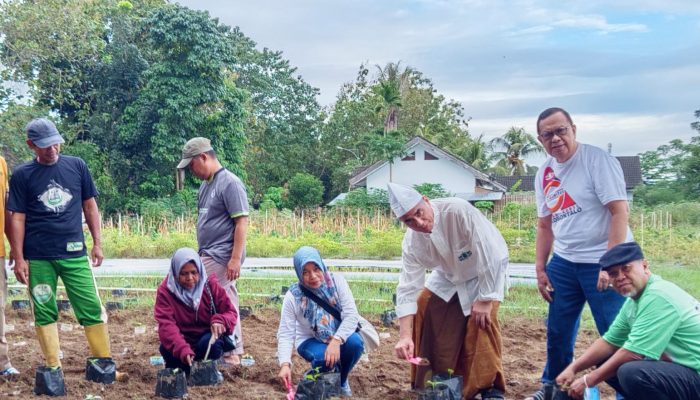 Pesantren Hubulo Tanam Cabe dan Padi Gogo, Abdullah Gobel Dorong Kemandirian Pangan Sehat