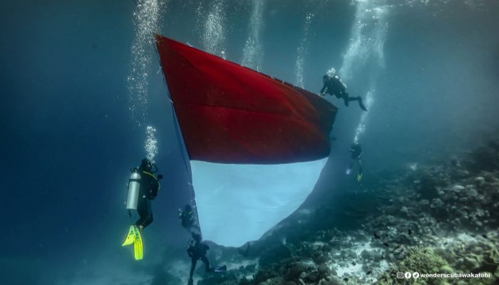 Pertamina Sulawesi Rayakan HUT RI ke-80 dengan Pembentangan Bendera Merah Putih Terbesar di Bawah Laut Spot Ikonik Mata Uang Rp10.000 Wakatobi