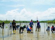 Pertamina Sulawesi Tanam 1.000 Bibit Mangrove di Cagar Alam Panua: Langkah Nyata Melindungi Lingkungan dan Memberdayakan Masyarakat