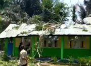 Pohon Tumbang Timpa Sekolah di Tilango, Dua Siswa dan Satu Guru Luka-luka