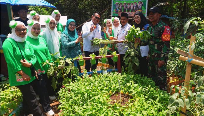 Pertamina Sulawesi Hadirkan Keceriaan: Serunya Menanam, Bahagianya Memanen Bersama KWT Baji Minasa