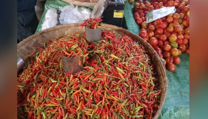 H-1 Lebaran, Harga Bapok di Boltara Meroket: Cabai Rawit Tembus Rp110 Ribu per Kilogram