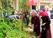 Alumni SPG Negeri 1 Gorontalo Panen Kacang di Halaman Rumah Senator Rahmijati Jahja