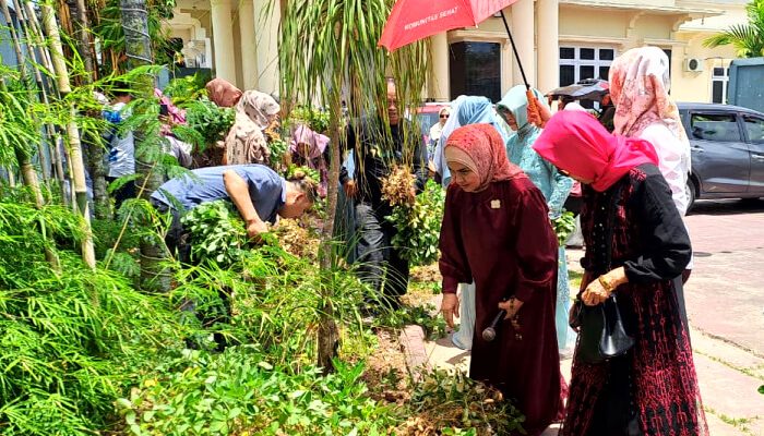 Alumni SPG Negeri 1 Gorontalo Panen Kacang di Halaman Rumah Senator Rahmijati Jahja