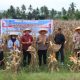 Kapolres Gorontalo Tegaskan Komitmen Kawal Produktivitas Jagung Dukung Swasembada Pangan