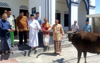 3.054 Hewan Kurban akan Disembelih di Kabupaten Gorontalo saat Idul Adha