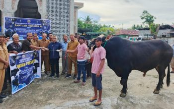 Bupati Gorontalo Serahkan Sapi Kurban Presiden Prabowo, Bobot Capai 1 Ton
