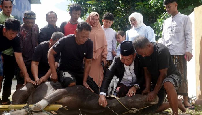Berbagi di Idul Adha, Wabup Bone Bolango Sembelih Sapi Kurban untuk Warga