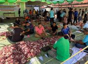 Semarak Idul Adha, 66 Sapi Kurban Kemenag Kabgor Jadi Berkah untuk Masyarakat