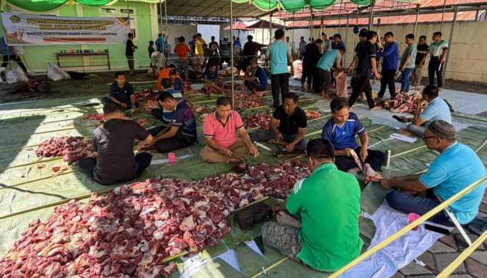 Semarak Idul Adha, 66 Sapi Kurban Kemenag Kabgor Jadi Berkah untuk Masyarakat