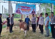 Polres Boltara Serahkan Hewan Qurban, Wujud Kepedulian dan Semangat Berbagi
