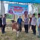 Polres Boltara Serahkan Hewan Qurban, Wujud Kepedulian dan Semangat Berbagi