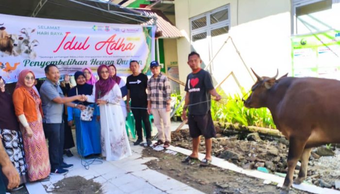 RSUD Dunda Limboto Sembelih 12 Hewan Kurban, Daging Dibagi ke Pegawai, Pasien Hingga Warga