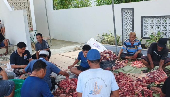 Berkah di Iduladha 1447 H, Keluarga Besar Andi Ilham Berbagi Hewan Kurban di Telaga Jaya