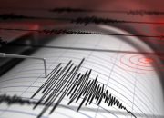Gempa Magnitudo 7,7 Guncang Sulut, BMKG Keluarkan Peringatan Dini Tsunami untuk Gorontalo Hingga Kaltim