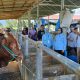 Dari Karantina Hingga Kampung Ternak, Rahmijati: Peternak Gorontalo Harus Sejahtera