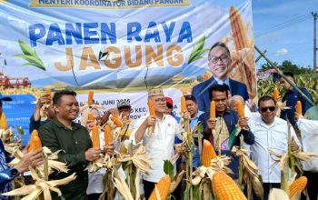 Zulkifli Hasan Puji Kualitas Jagung Petani Gorontalo