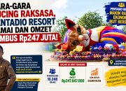Gara-gara Kucing Raksasa, Pentadio Resort Ramai dan Omzet Capai Rp247 Juta