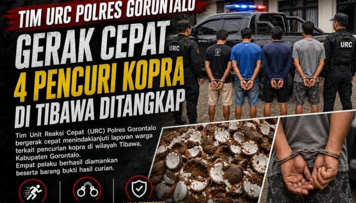 Gerak Cepat Tim URC Polres Gorontalo, 4 Pencuri Kopra di Tibawa Ditangkap