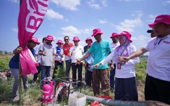Pertamina Sulawesi Luncurkan Bright Gas untuk Petani di Gowa, Hadirkan Energi Alternatif bagi Pompa Irigasi