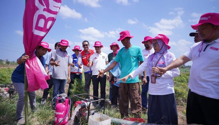 Pertamina Sulawesi Luncurkan Bright Gas untuk Petani di Gowa, Hadirkan Energi Alternatif bagi Pompa Irigasi