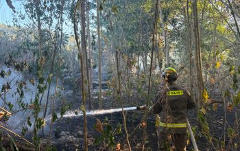 Personel Dit Samapta Polda Gorontalo Gerak Cepat Bantu Padamkan Kebakaran Lahan di Bulontala