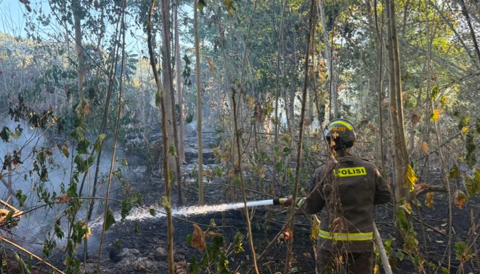 Personel Dit Samapta Polda Gorontalo Gerak Cepat Bantu Padamkan Kebakaran Lahan di Bulontala