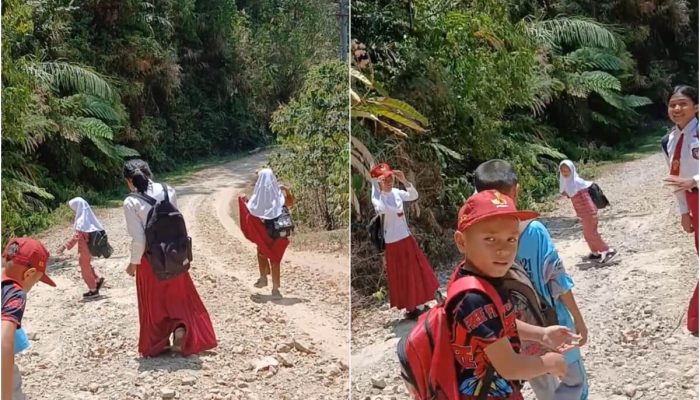 Langkah Kecil di Jalan Rusak: Kisah Perjuangan Siswa Piloayita