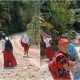 Langkah Kecil di Jalan Rusak: Kisah Perjuangan Siswa Piloayita