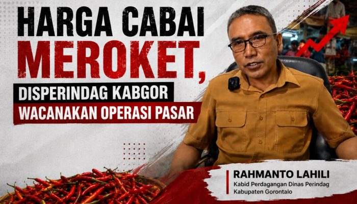 Harga Cabai Meroket, Dinas Perindag Kabgor Wacanakan Operasi Pasar