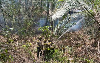 Gerak Cepat Tim Gabungan, Kebakaran Lahan di Desa Alale Berhasil Dipadamkan