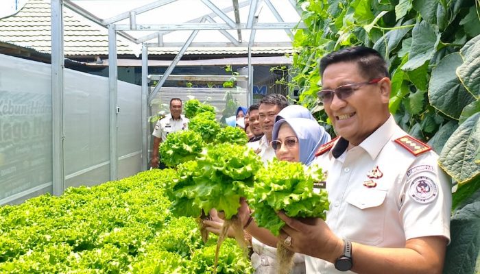 Baru 25 Hari, Greenhouse Lapas Gorontalo Sudah Panen: Dari Selada hingga Melon