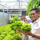 Baru 25 Hari, Greenhouse Lapas Gorontalo Sudah Panen: Dari Selada hingga Melon