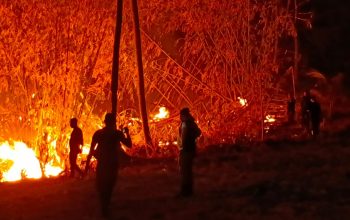 200 Hektare Lahan di Kabupaten Gorontalo Terbakar, Tim Gabungan Berjibaku Padamkan Api