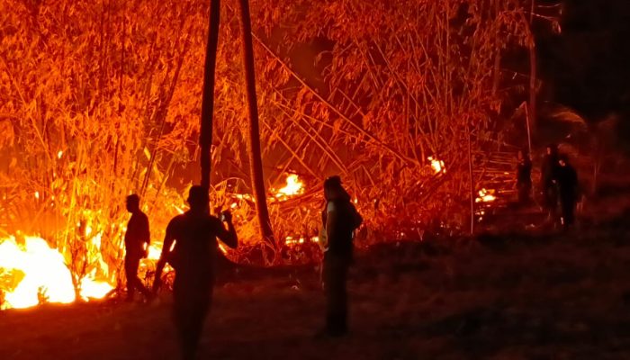 200 Hektare Lahan di Kabupaten Gorontalo Terbakar, Tim Gabungan Berjibaku Padamkan Api