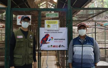 Pertamina Sulawesi Perkuat Konservasi Burung Nuri Talaud melalui Edukasi dan Program Breeding di Bitung