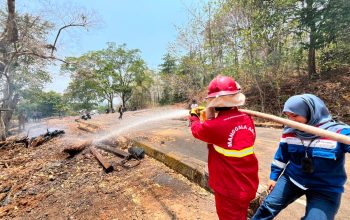 Pertamina AFT Hasanuddin Perkuat Konservasi Kebun Raya Pucak melalui Pencegahan Karhutla dan Inovasi Auksin Alami