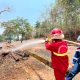 Pertamina AFT Hasanuddin Perkuat Konservasi Kebun Raya Pucak melalui Pencegahan Karhutla dan Inovasi Auksin Alami