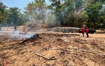 Pertamina AFT Hasanuddin Perkuat Konservasi Kebun Raya Pucak melalui Pencegahan Karhutla dan Inovasi Auksin Alami